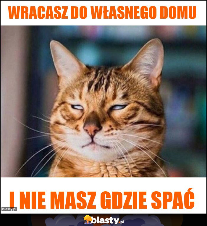 wracasz do własnego domu