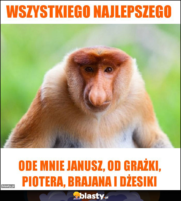 Wszystkiego najlepszego