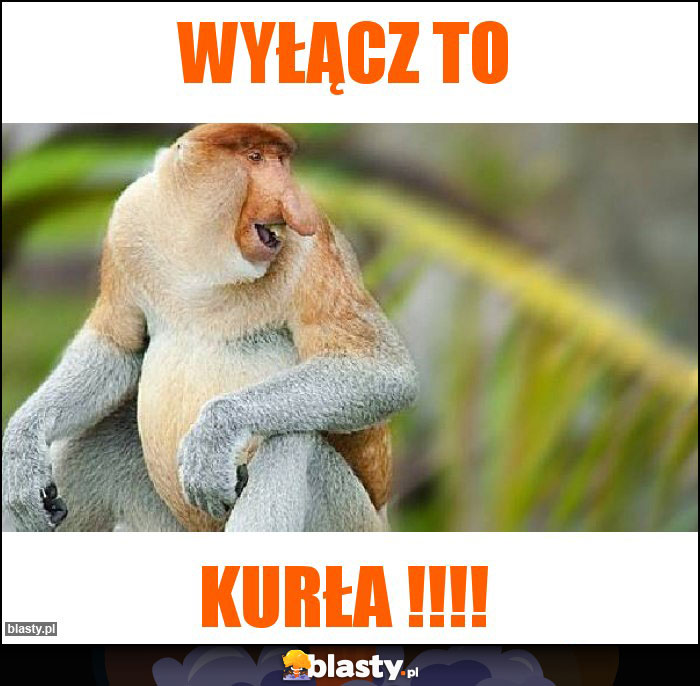 WYŁĄCZ TO