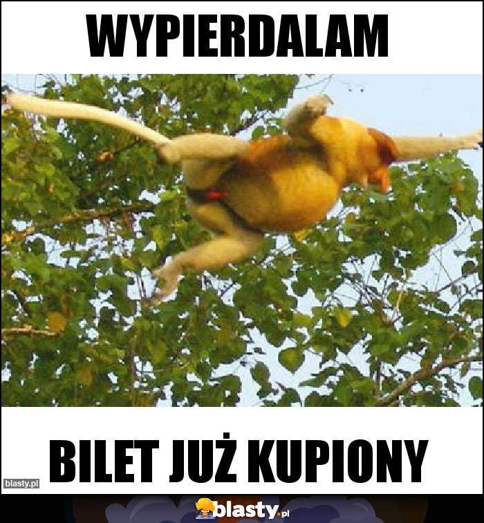 wypierdalam