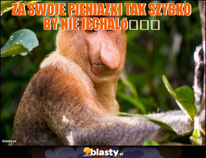 Za swoje pieniazki tak szybko by nie jechal