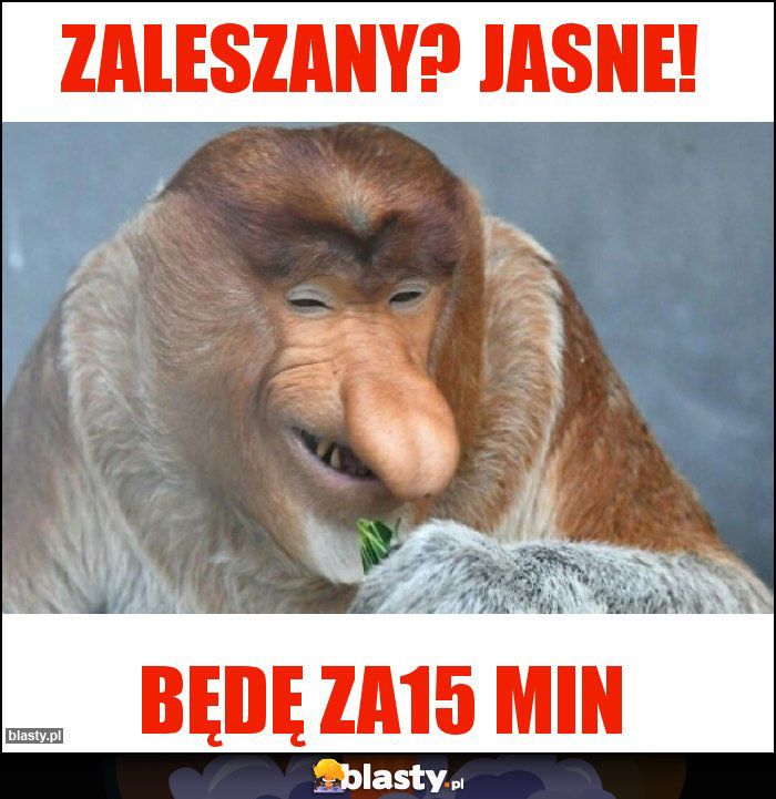 Zaleszany? Jasne!