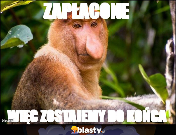 Zapłacone