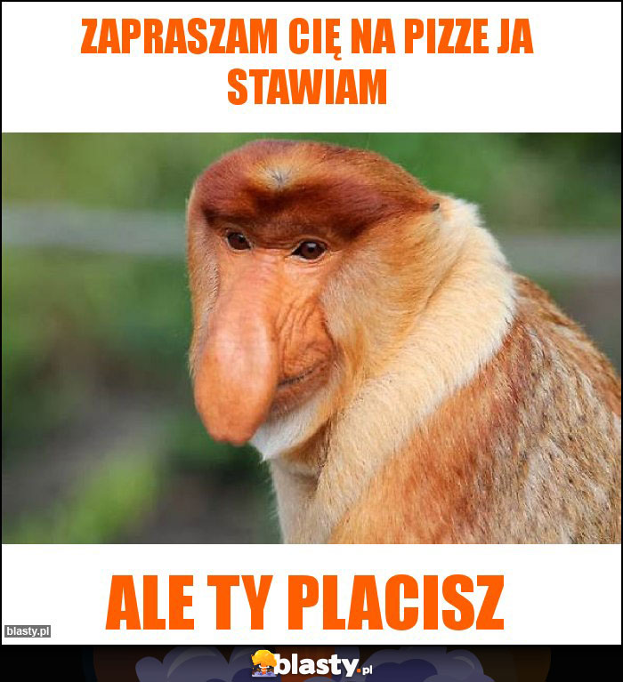 Zapraszam cię na pizze ja stawiam