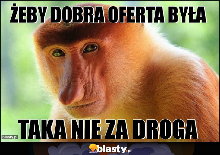 żeby dobra oferta była