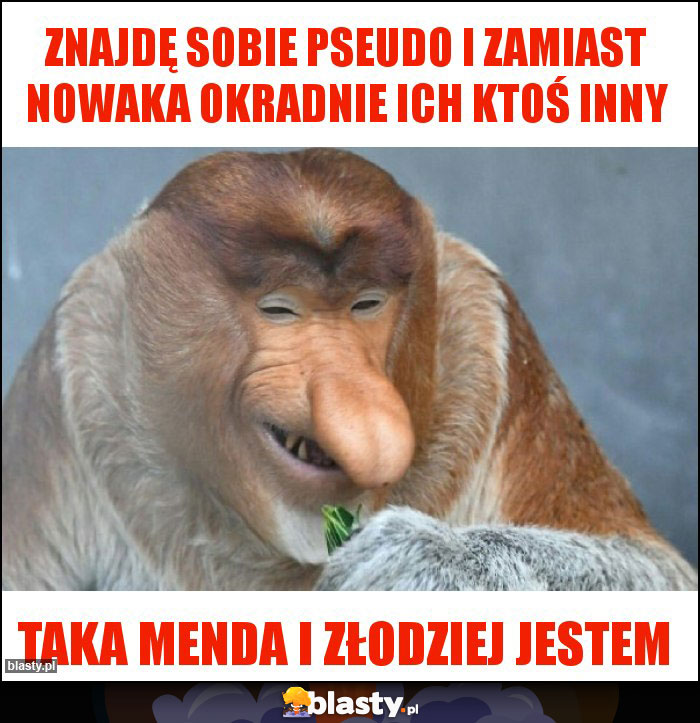 Znajdę sobie pseudo i Zamiast Nowaka okradnie ich ktoś inny