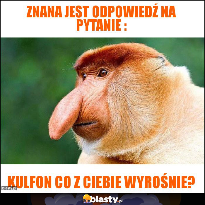 ZNANA JEST ODPOWIEDŹ NA PYTANIE :