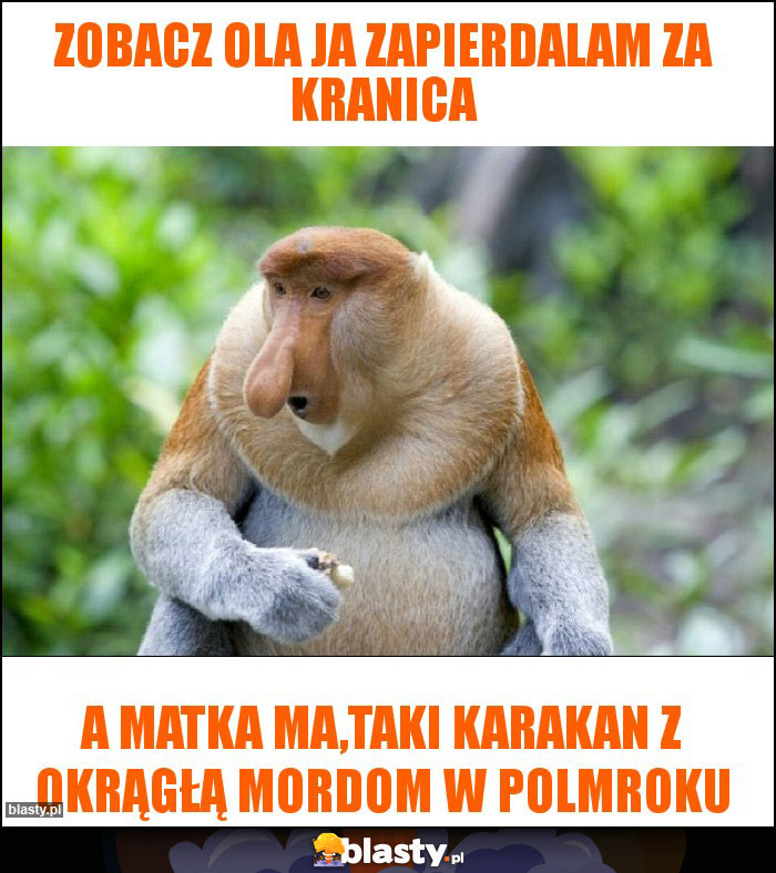 Zobacz Ola ja zapierdalam za kranica