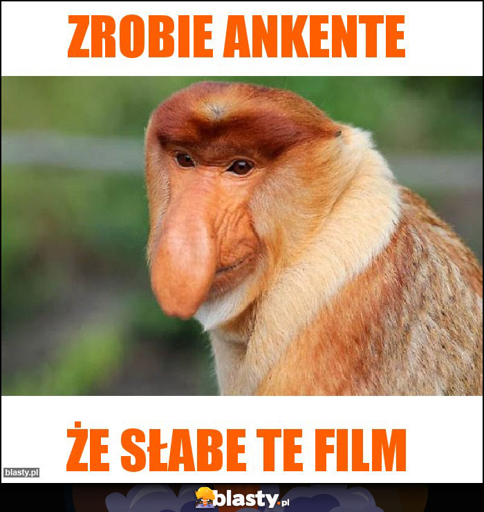 Zrobie ankente