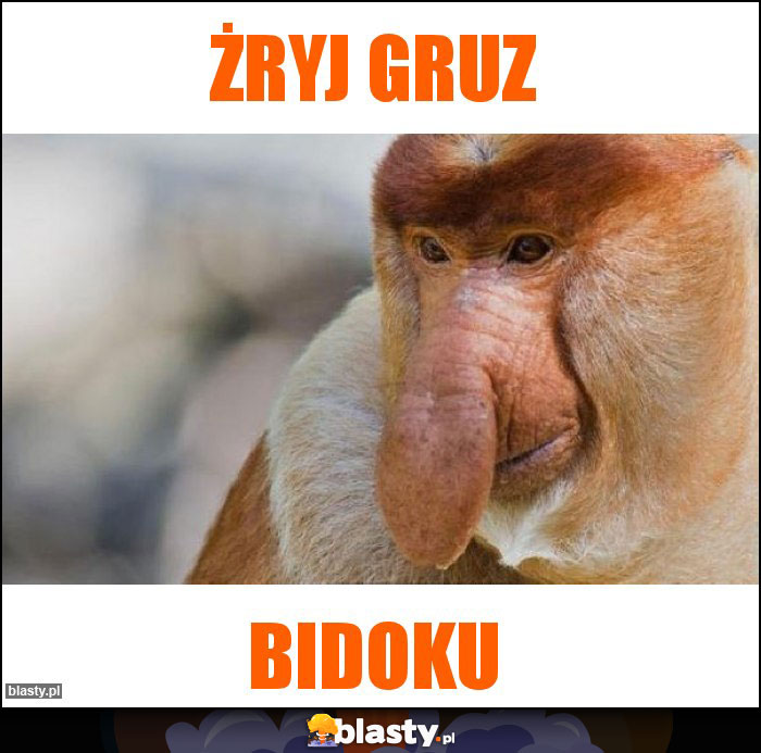 żryj gruz