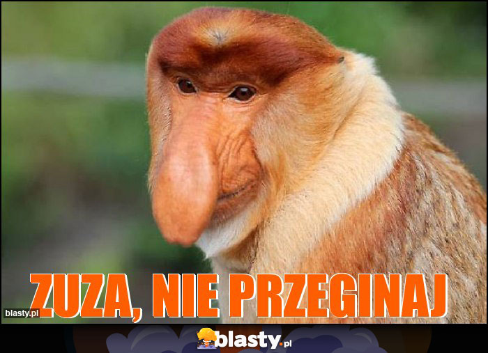 Zuza, nie przeginaj