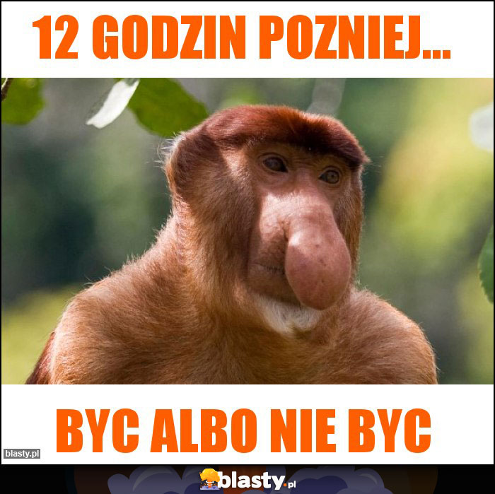 12 godzin pozniej...