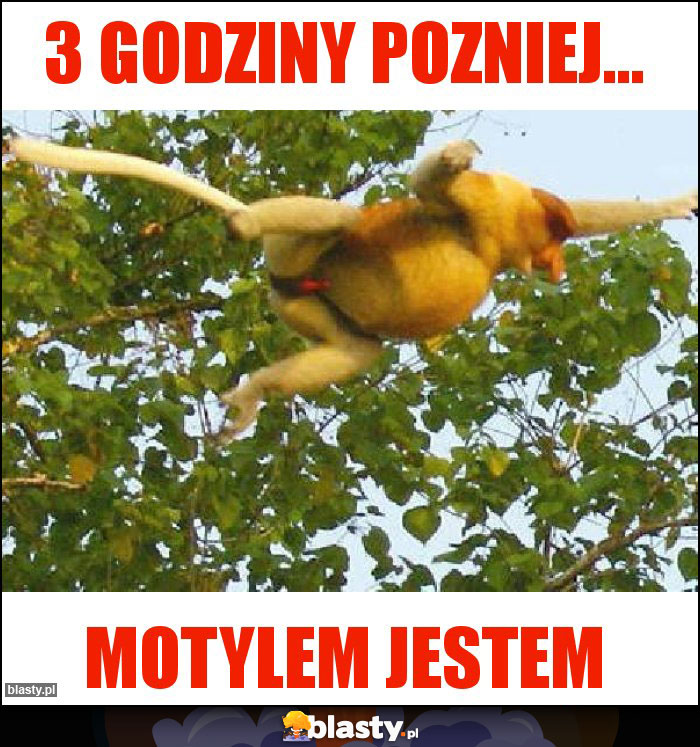 3 godziny pozniej...