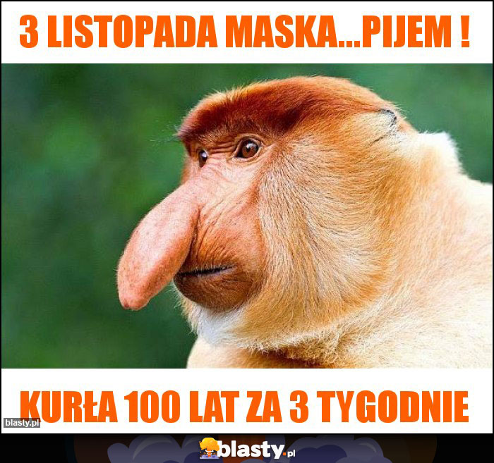 3 listopada maska...pijem !