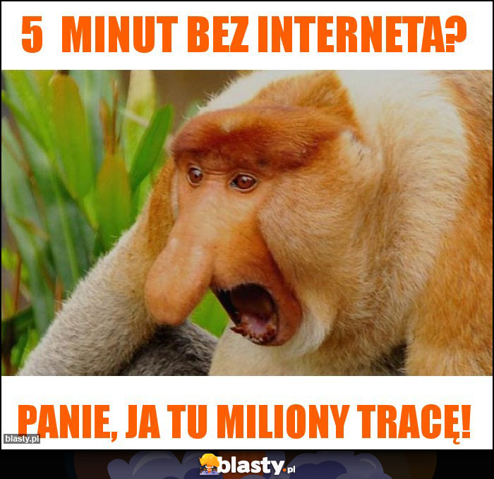 5  minut bez interneta?