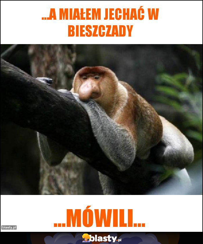 ...a miałem jechać w Bieszczady