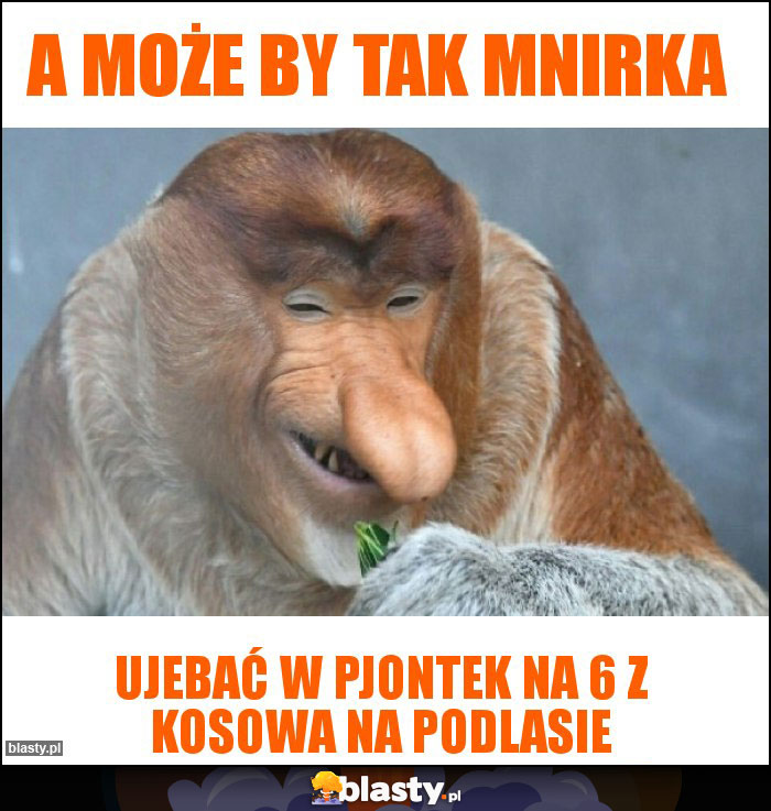 A może by tak mnirka