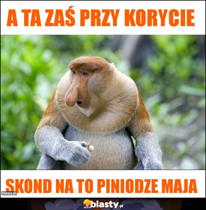 A ta zaś przy korycie