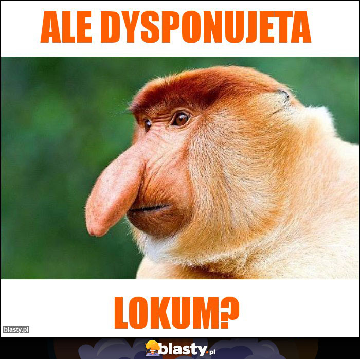 ALE DYSPONUJETA