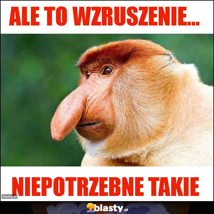 Ale to wzruszenie...