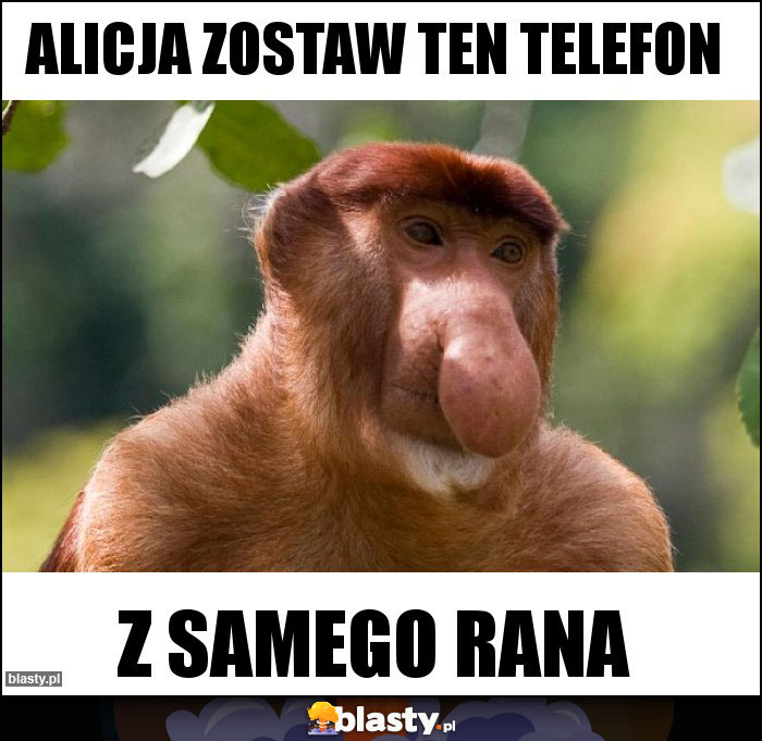 Alicja zostaw ten telefon