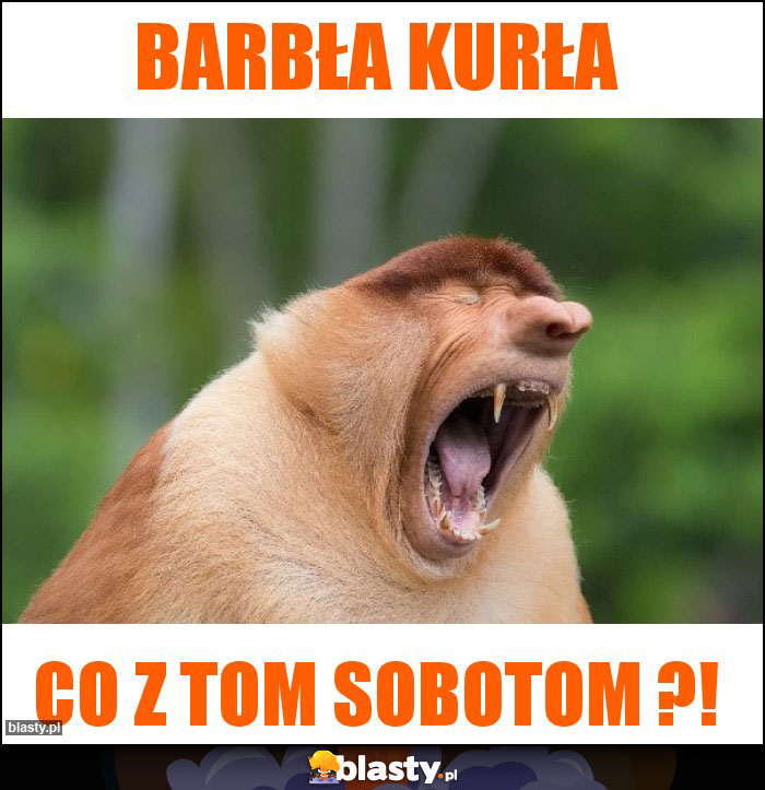 BARBŁa KURŁA