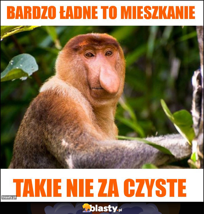 Bardzo ładne to mieszkanie