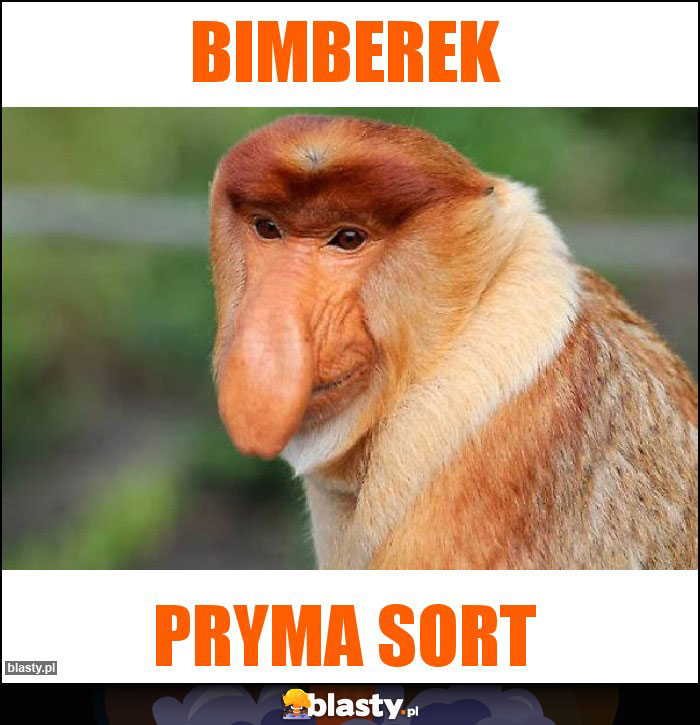 Bimberek