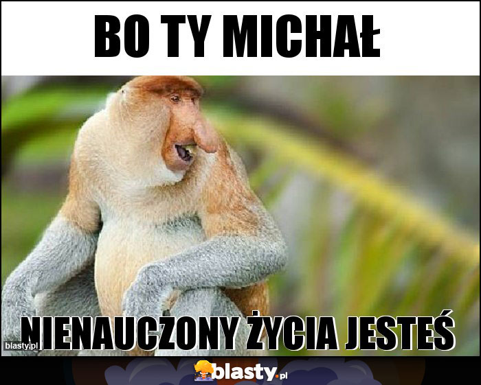 bo ty michał