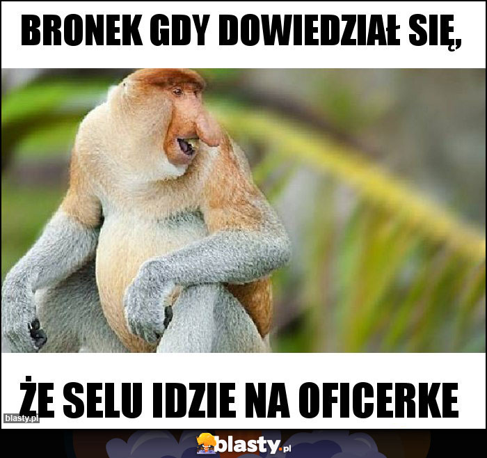 Bronek gdy dowiedział się,