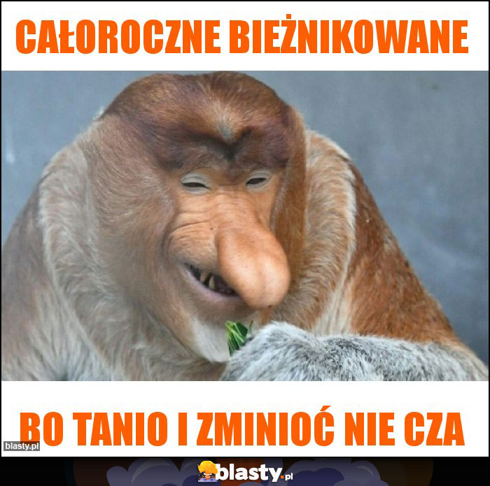 Całoroczne bieżnikowane