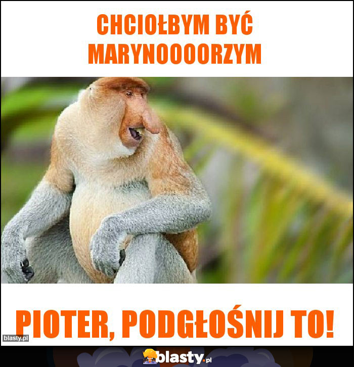 Chciołbym być marynoooorzym