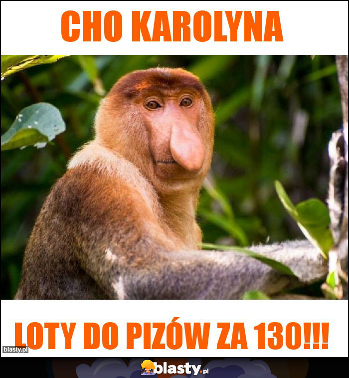 Cho Karolyna