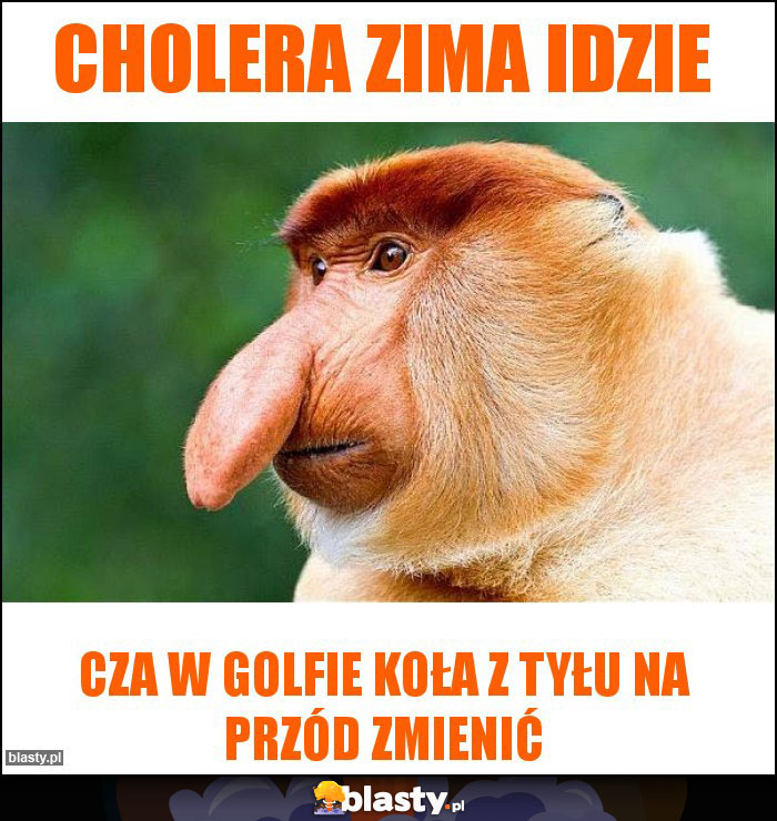 Cholera zima idzie