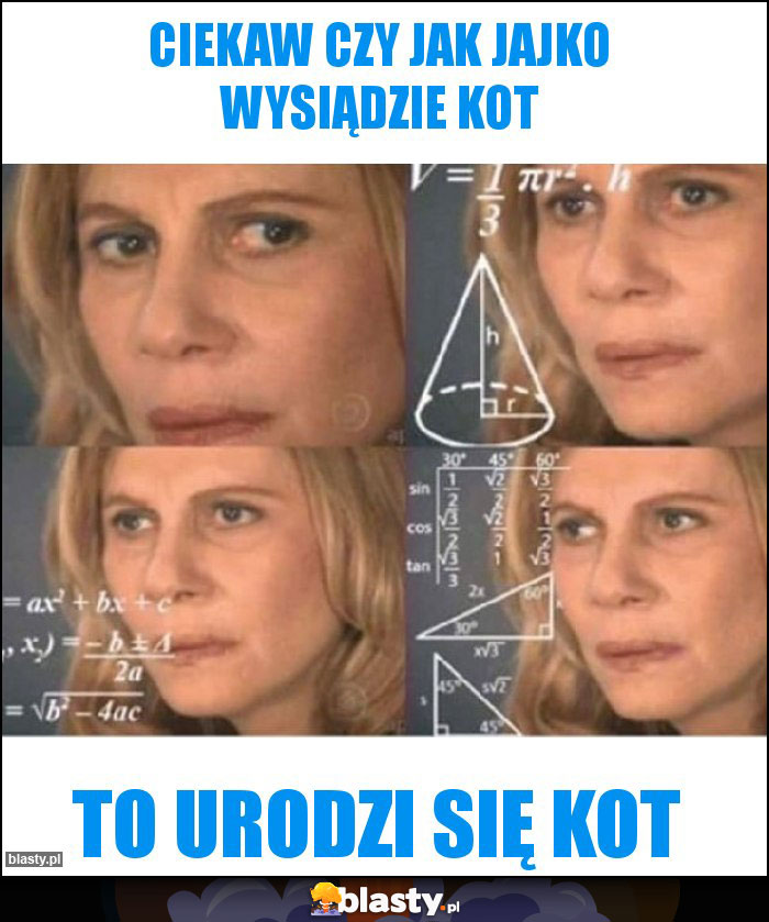 Ciekaw czy jak jajko wysiądzie kot