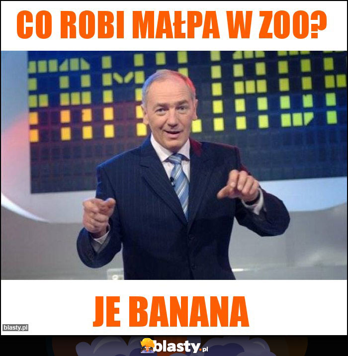 Co robi małpa w zoo?