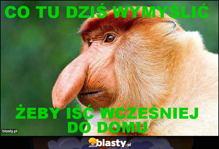 Co tu dziś wymyślić