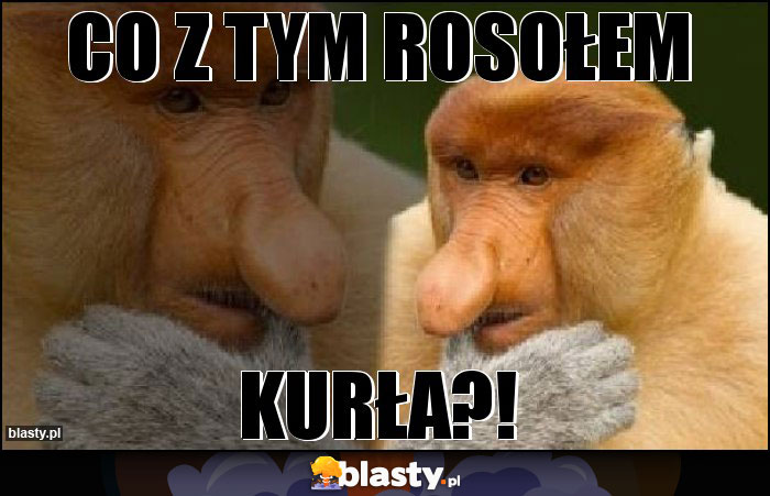 Co z tym rosołem