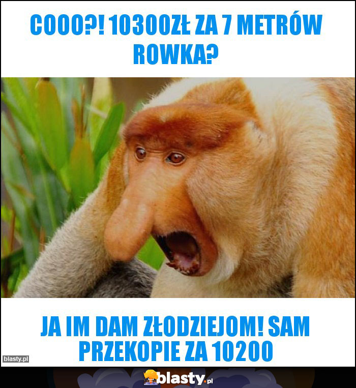 Cooo?! 10300zł za 7 metrów rowka?