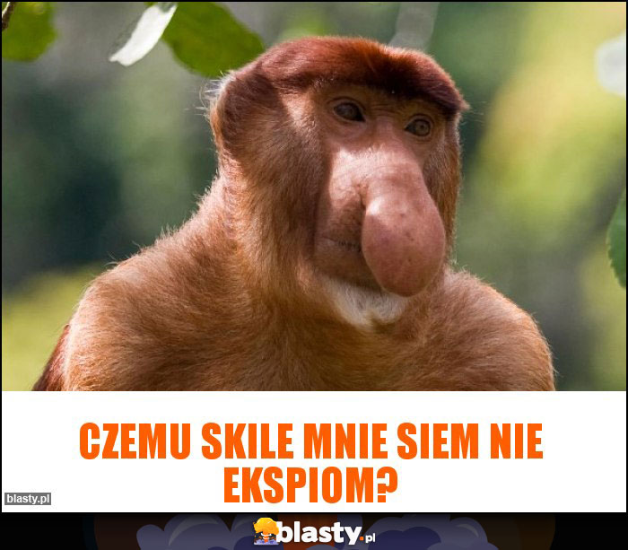 Czemu skile mnie siem nie ekspiom?