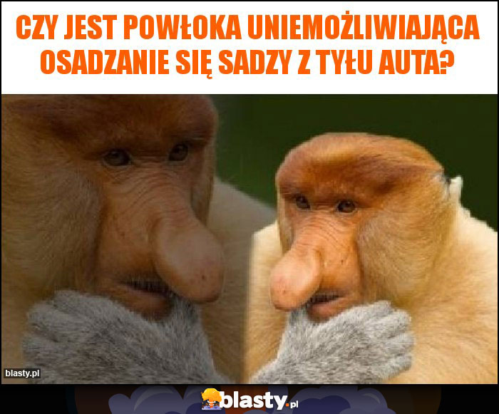 Czy jest powłoka uniemożliwiająca osadzanie się sadzy z tyłu auta?