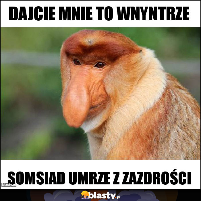 dajcie mnie to wnyntrze