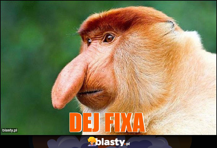 DEJ FIXA