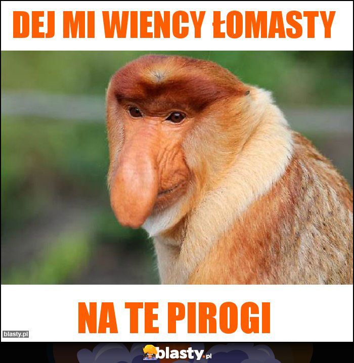 Dej mi wiency łomasty