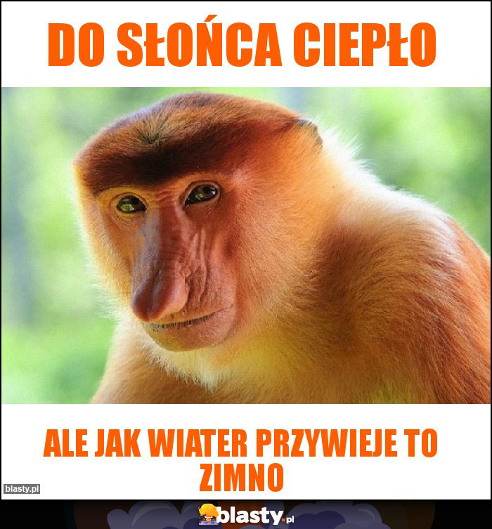 Do słońca ciepło