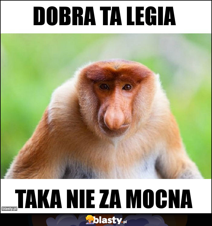 Dobra ta legia