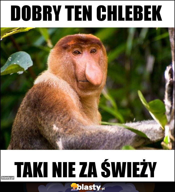 Dobry ten chlebek