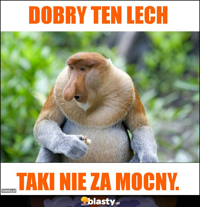 Dobry ten Lech