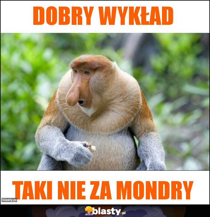 dobry wykład