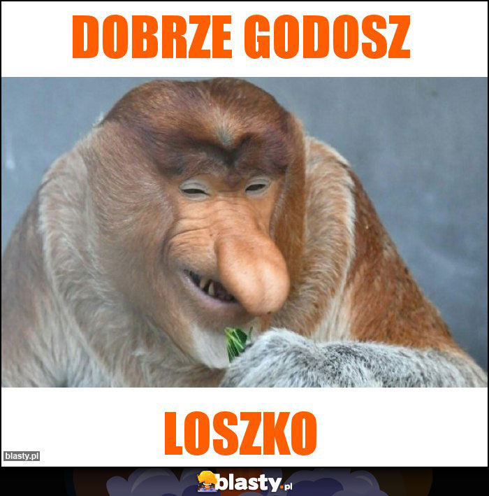 Dobrze godosz